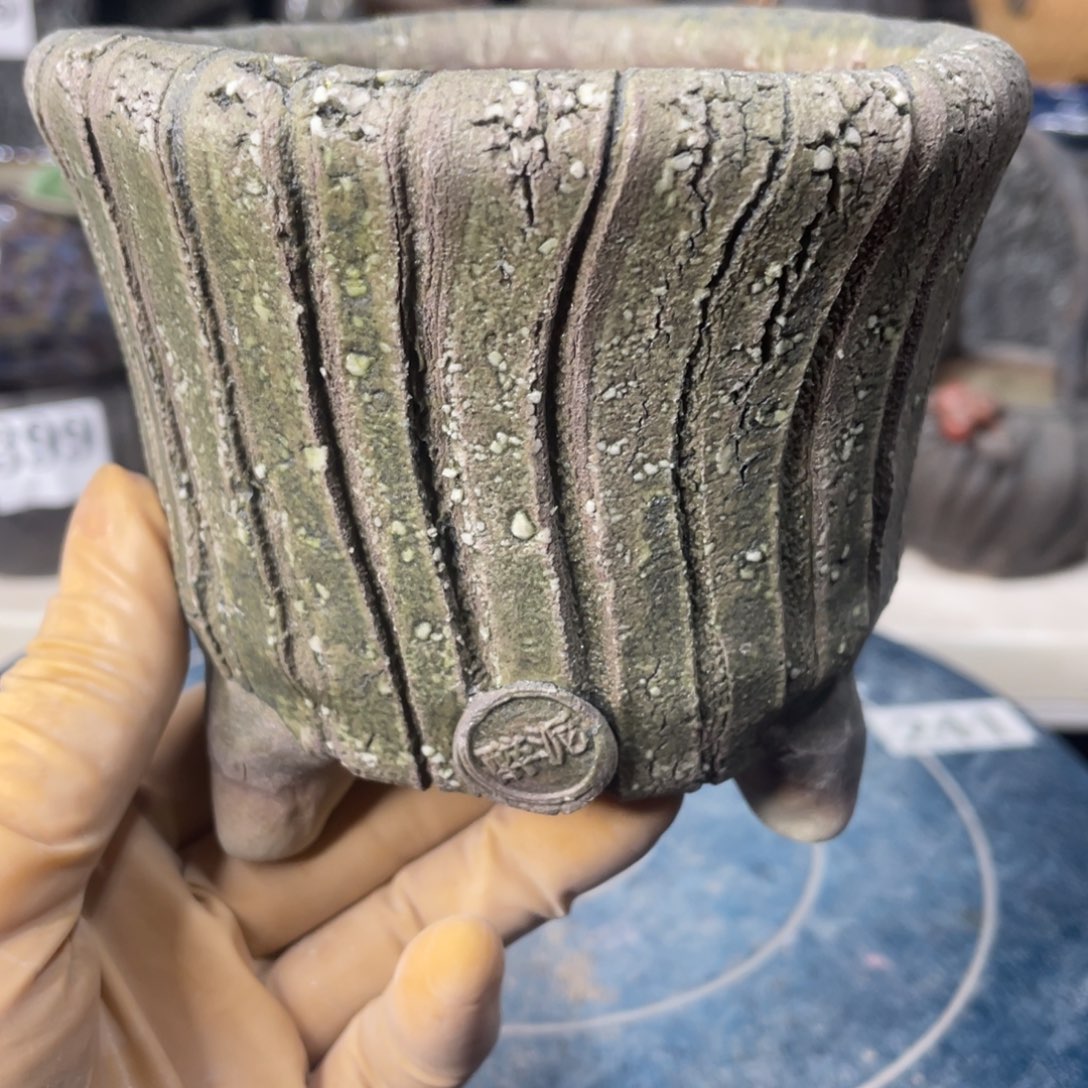 红陶一个人的时候就会