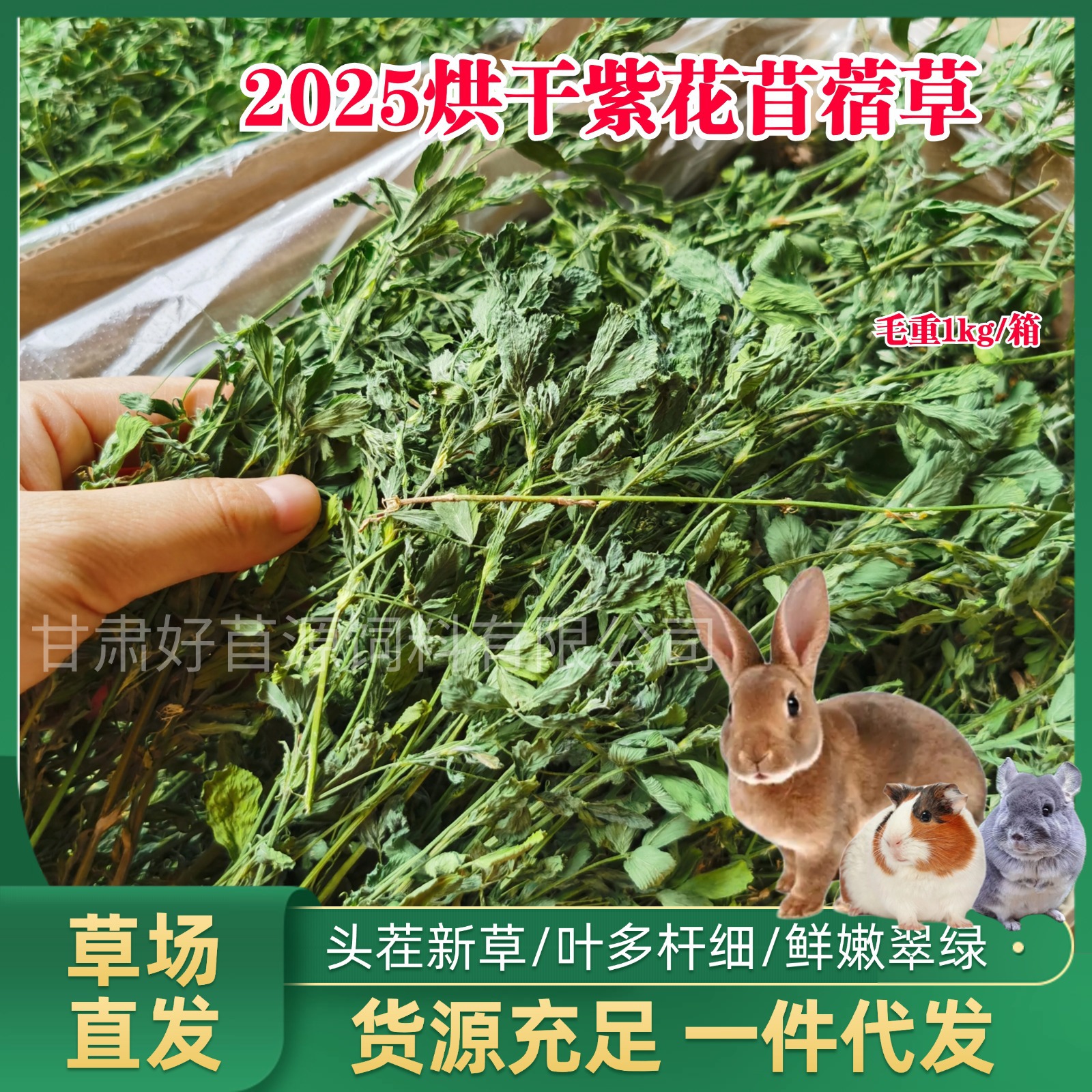 全龄段通用烘干紫花苜蓿草2025新草龙猫兔子豚鼠干草苜蓿草幼兔粮