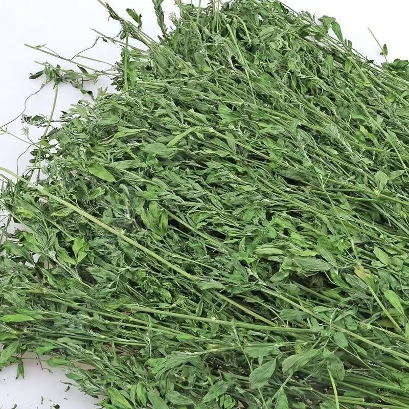 精品烘干苜蓿草毛重1000克龙猫兔子牧草