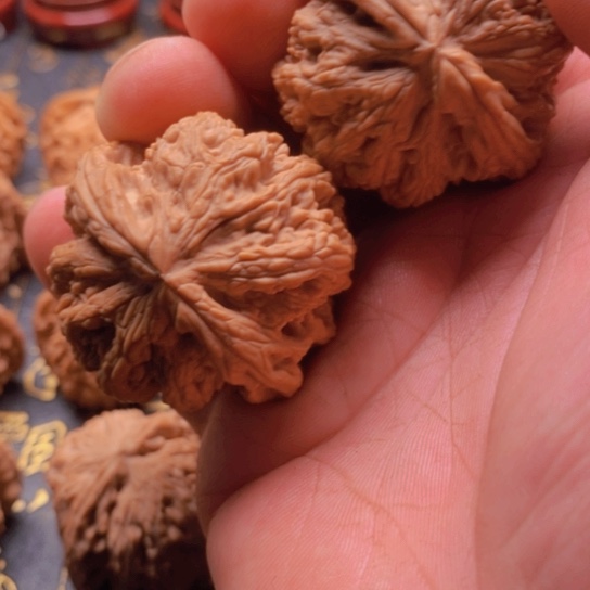 阳文玩粗筋狮子头46尺寸全品