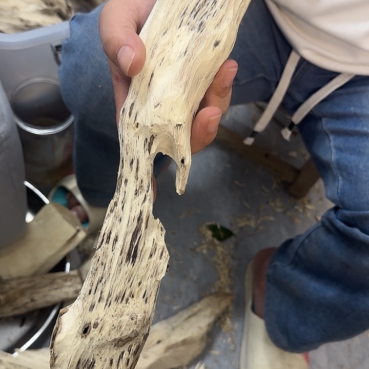 沉香沉香碎屑沉香料子