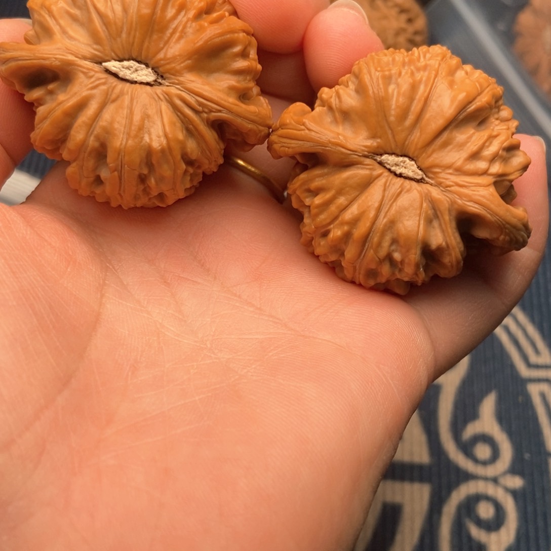 文玩核桃吊坠༺**༻46白狮子，因油