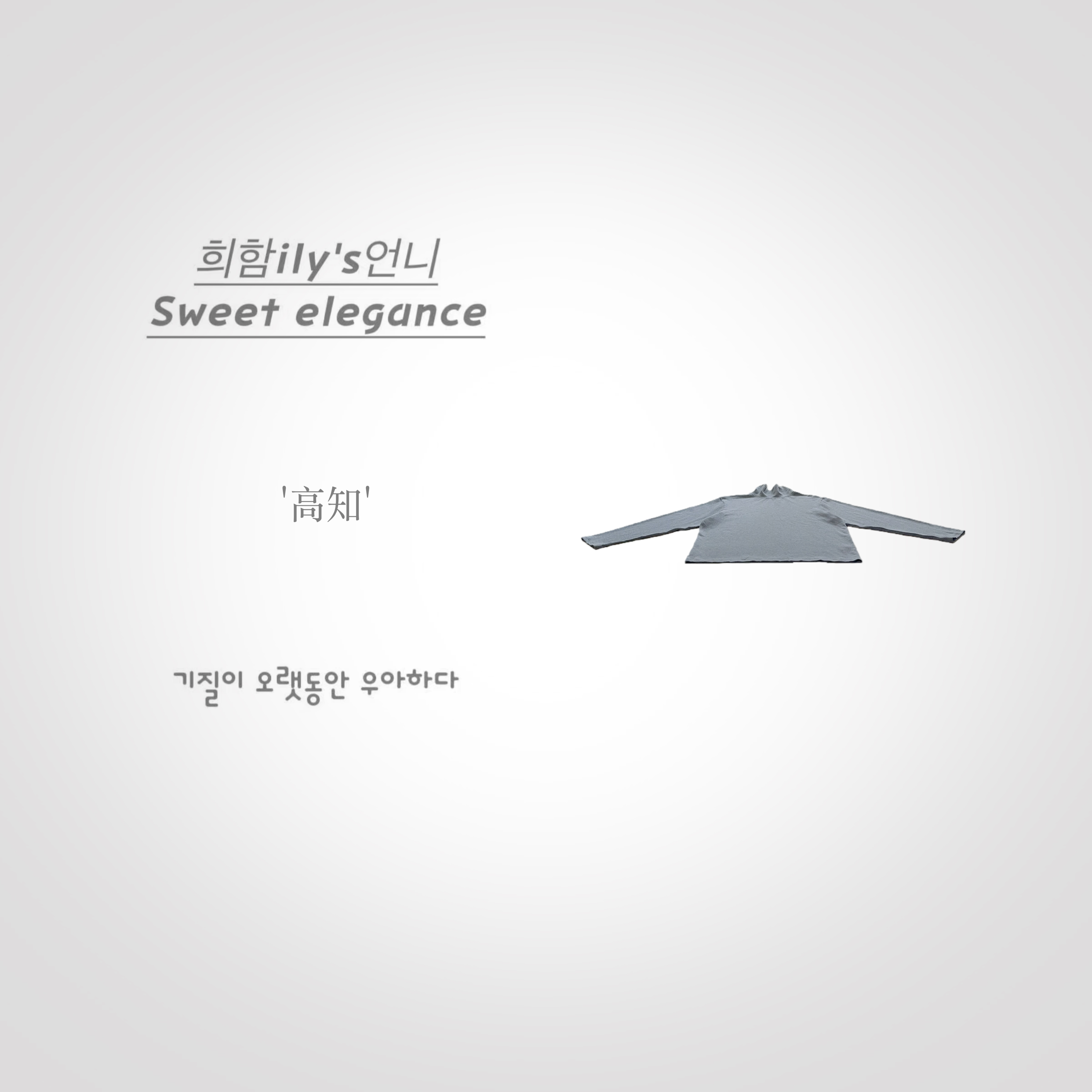 【高知】New.Vip粉丝.韩版设计师堆堆领简约时尚百搭轻奢长袖T恤