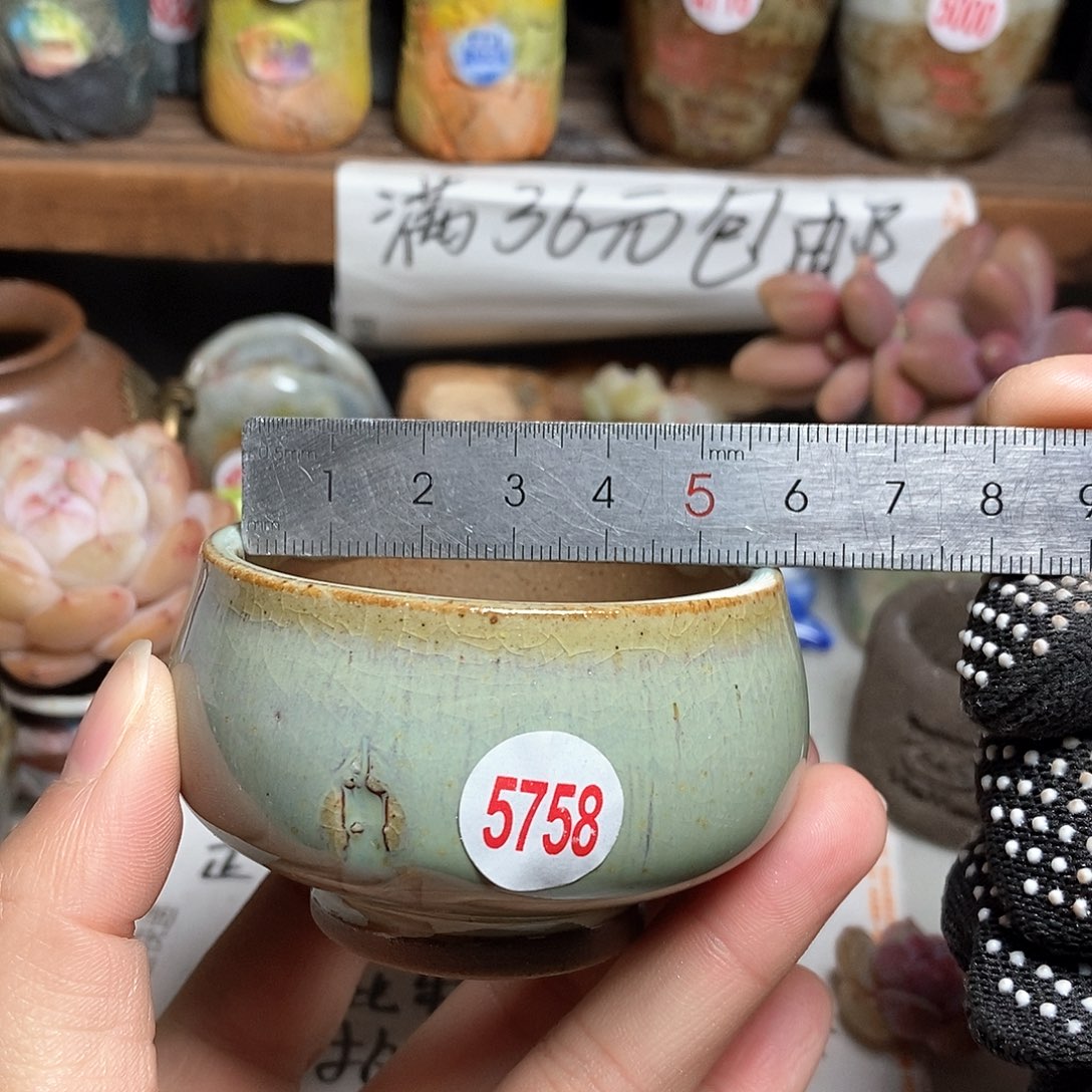 红陶拍5送一个小