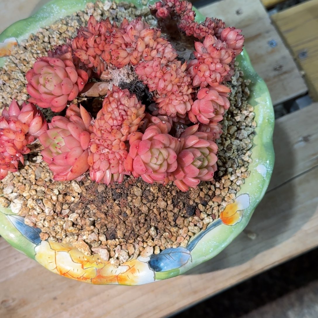 和***玉发货的都没收到过这