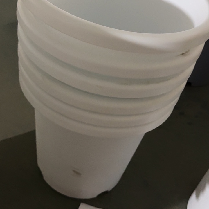 编号2835纯白无托6个口径33