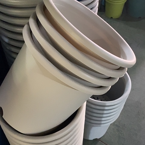 树脂特价6号7个无托灰白