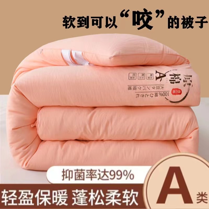 原棉被学生宿舍单人春秋被空调被冬被四季通用柔软加厚蓬松轻盈