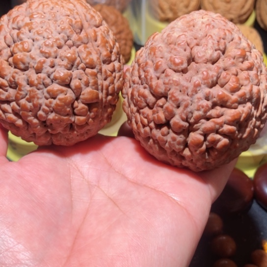 文玩核桃把件脑纹金刚菩提60