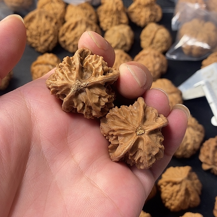 *****把件桃核467765556