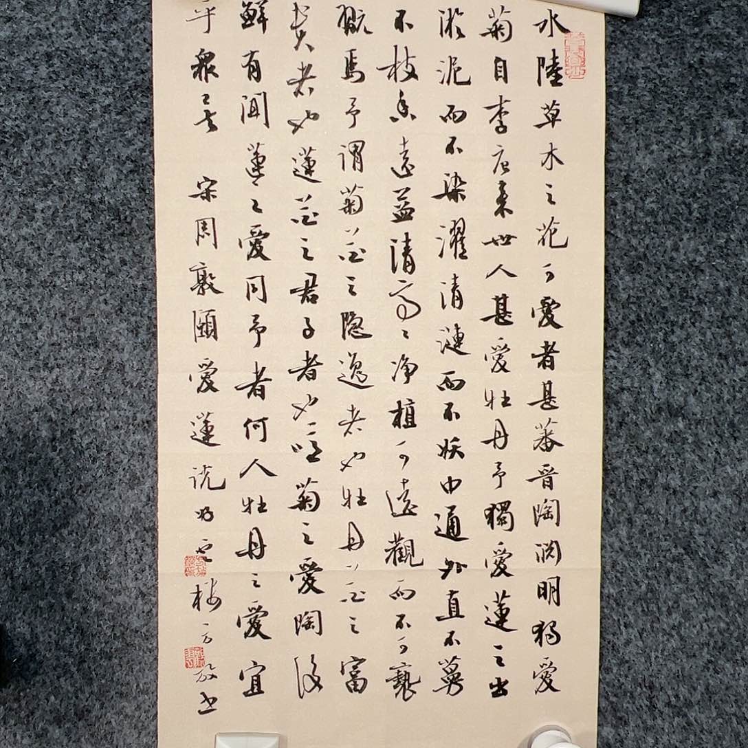 国画梅**菊（w5689）书法 书画3