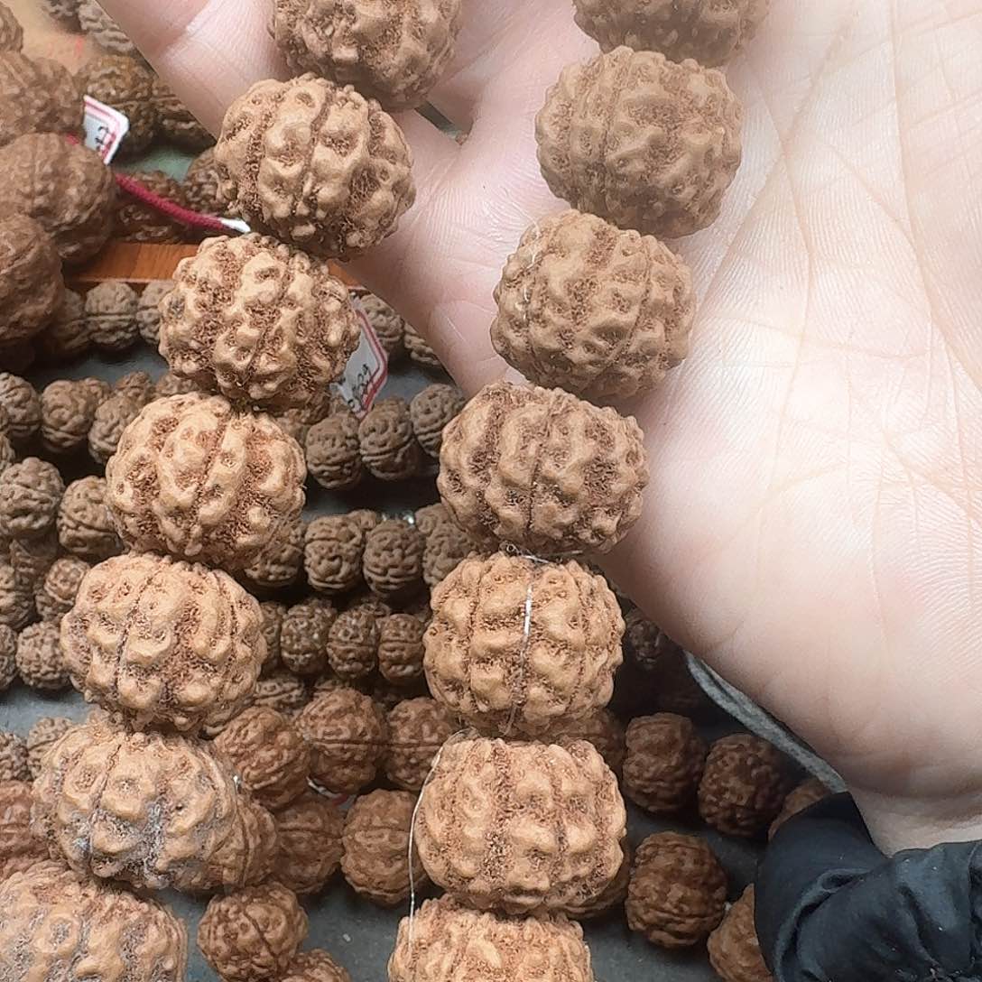 金刚菩提手串一**天霸王龙19