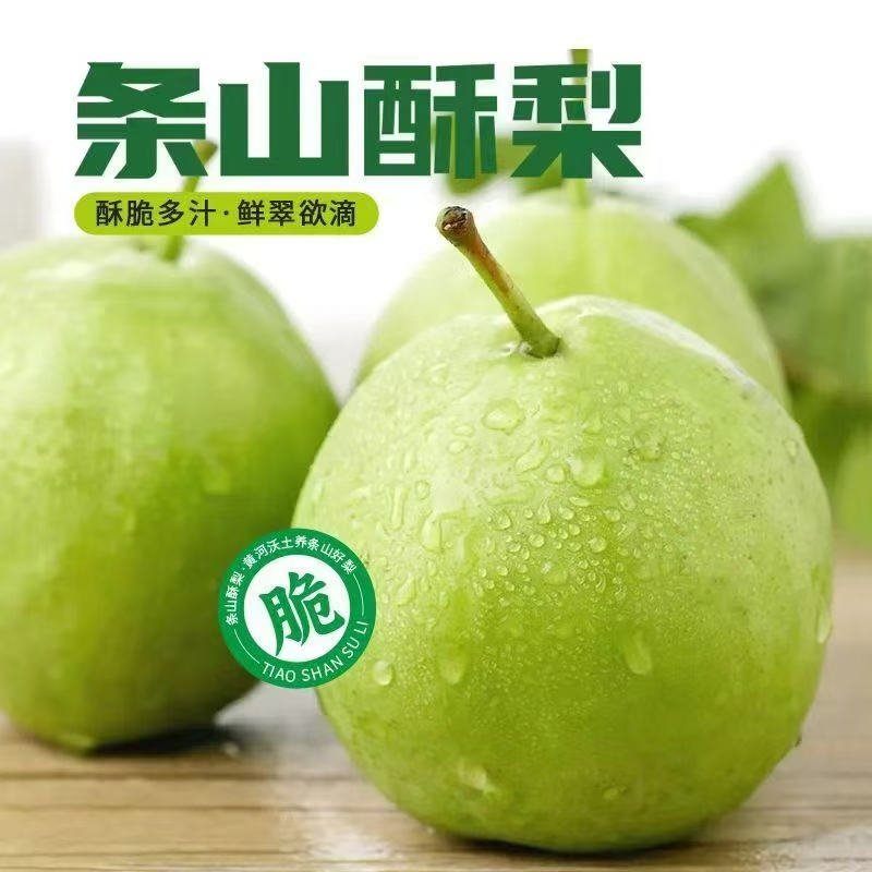 甘肃特产景泰条山早酥梨10斤新鲜水果脆甜多汁可口高原现摘梨子