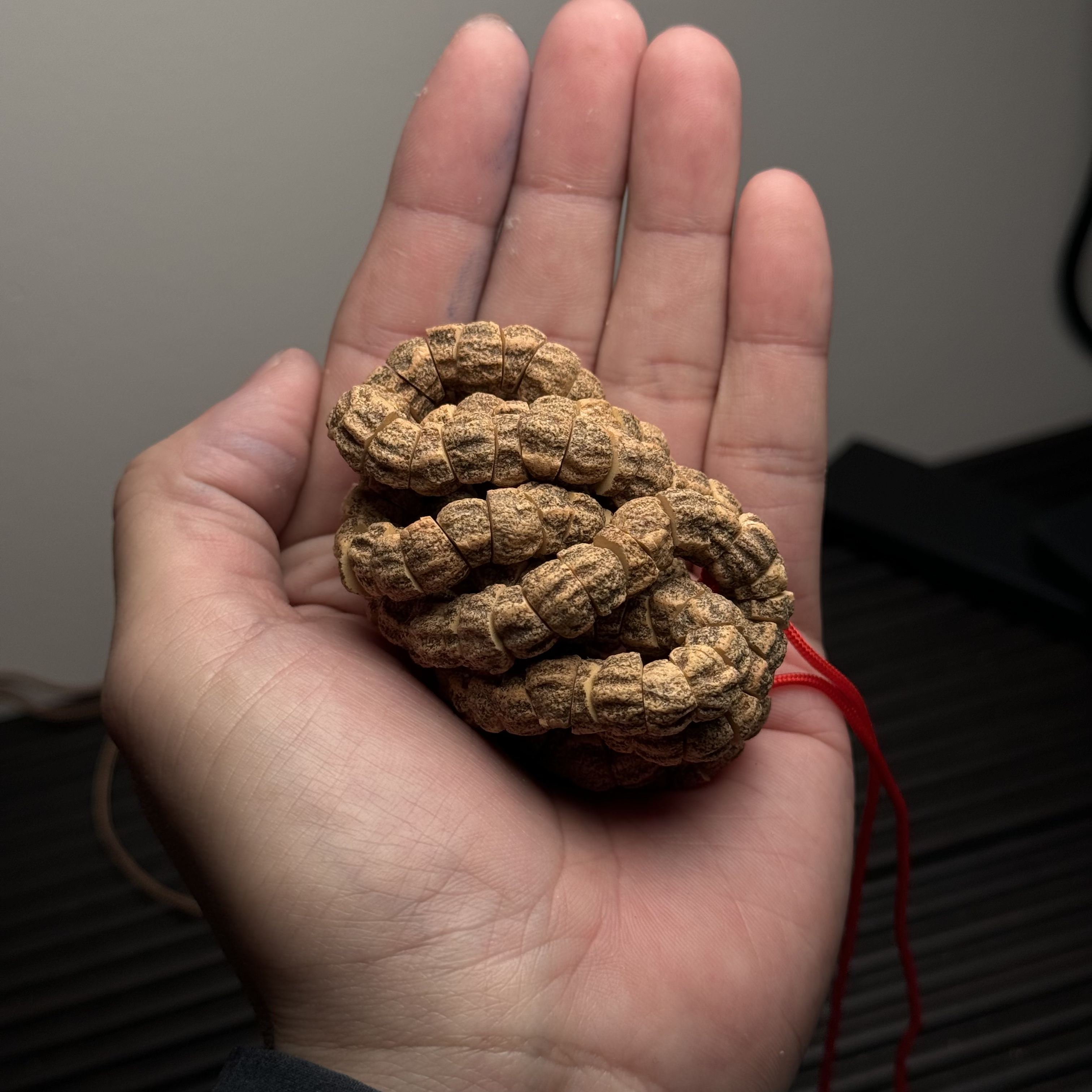 热振柏香籽脏麻皮斜切肠尺寸9左右