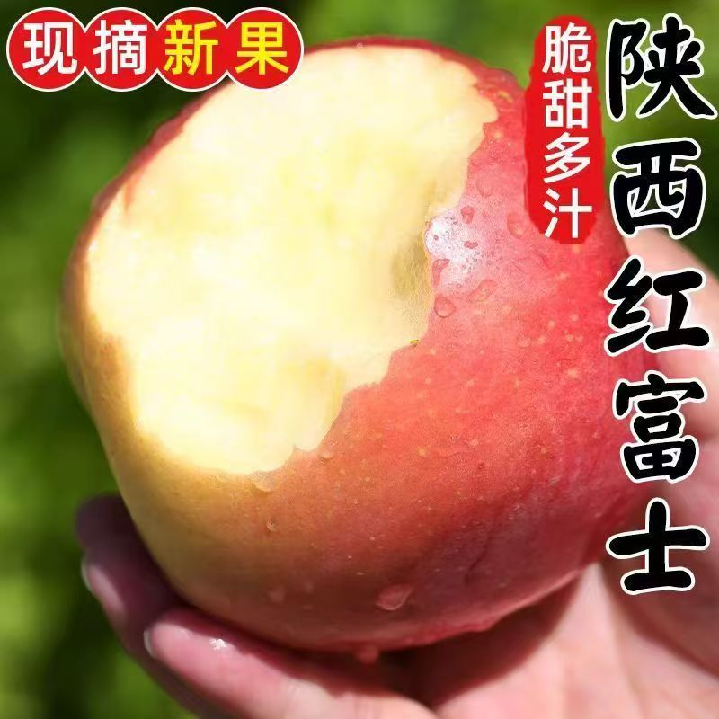 【蜗牛】陕西红富士苹果带箱约10斤脆甜可口ZXL001