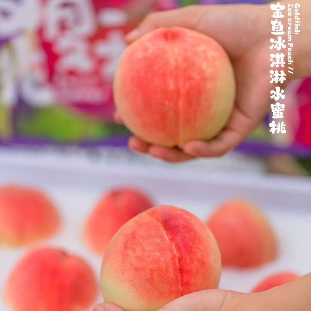 仲夏时光金鱼冰激凌水蜜桃，礼盒4.5斤装北京市
