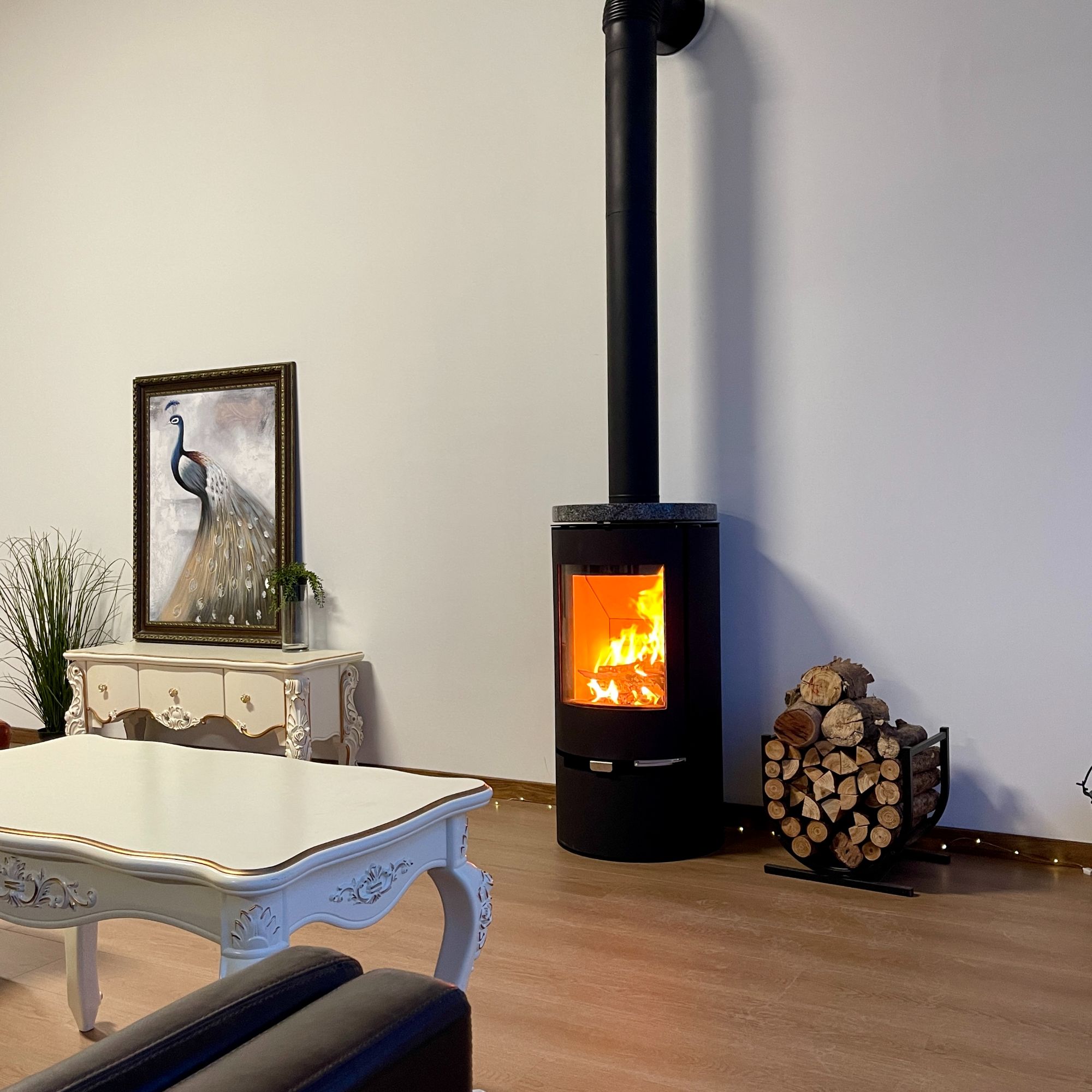 燃木壁炉真火燃木壁炉竖式碳钢别墅家用火炉取暖散热壁炉真火