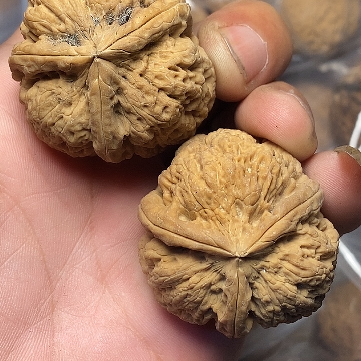 文玩核桃把件云南铁核桃B56