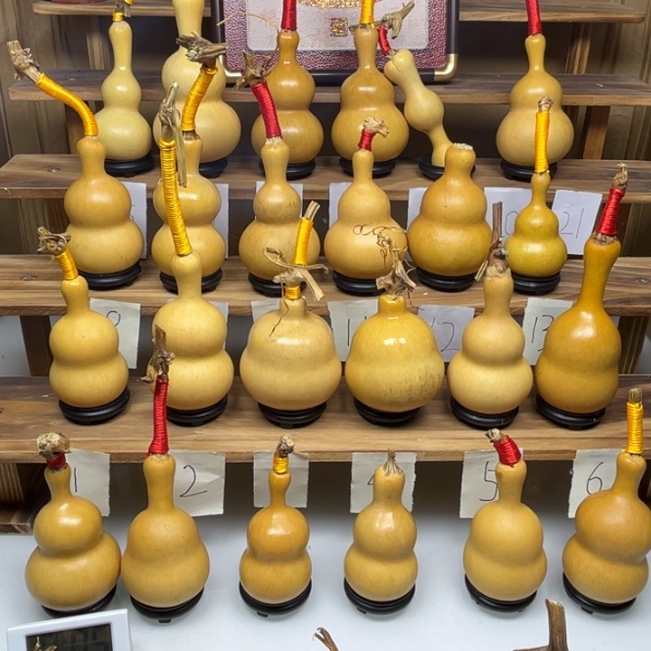 冠***象啦啦啦啦啦啦啦啦