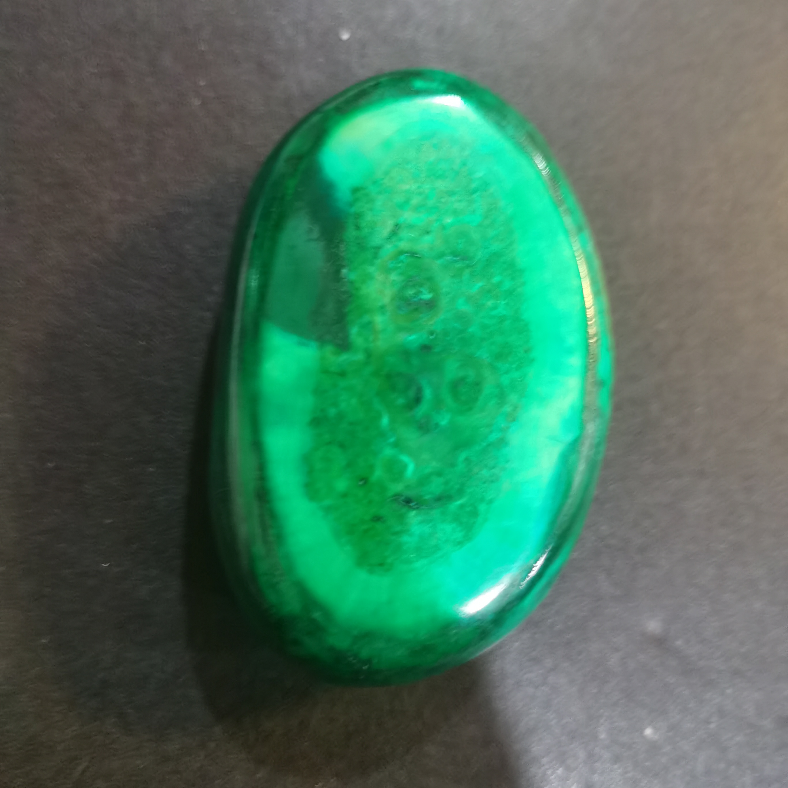 猛犸虬饼子TT853