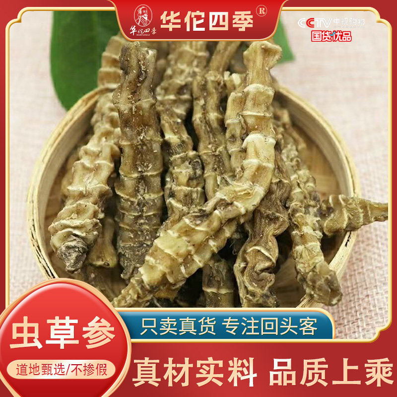 华佗四季云南 虫草参 D天柱地参干货条粗肉厚 精心挑选 煲汤 泡酒