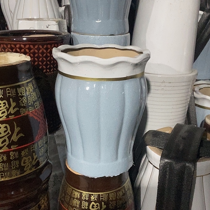 花口蓝南瓜中口25高32福利