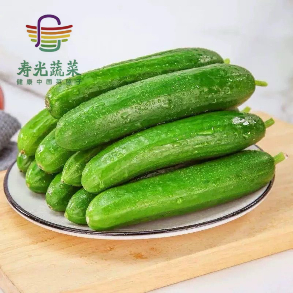 【寿光蔬菜精品】山东寿光盐碱地口感脆甜水果小黄瓜现摘JD发货