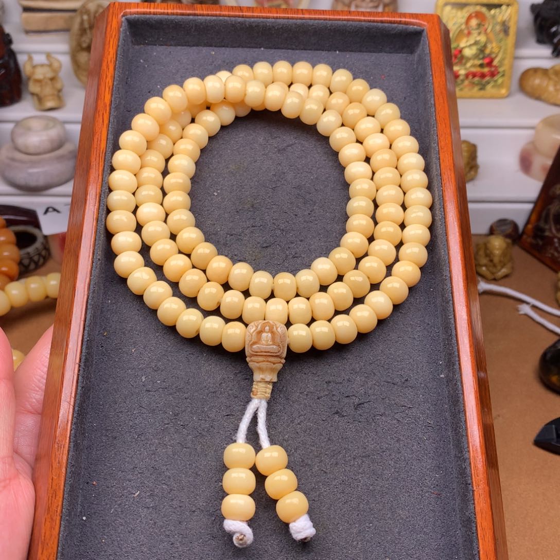 驼骨其他天天都在盘  9