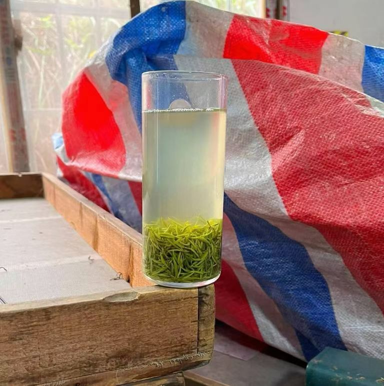 小份量试喝信阳毛尖兰花香小芽，先尝后买，不好喝包退换，