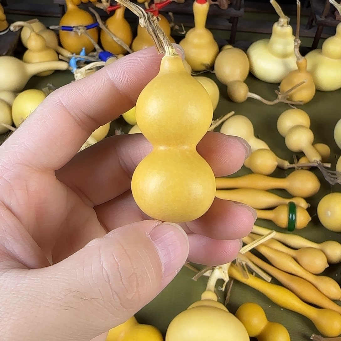 ｢****shshshshsbsbsbsbsbsb