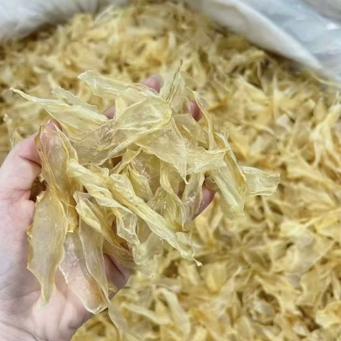 小竹叶胶清水干货胶