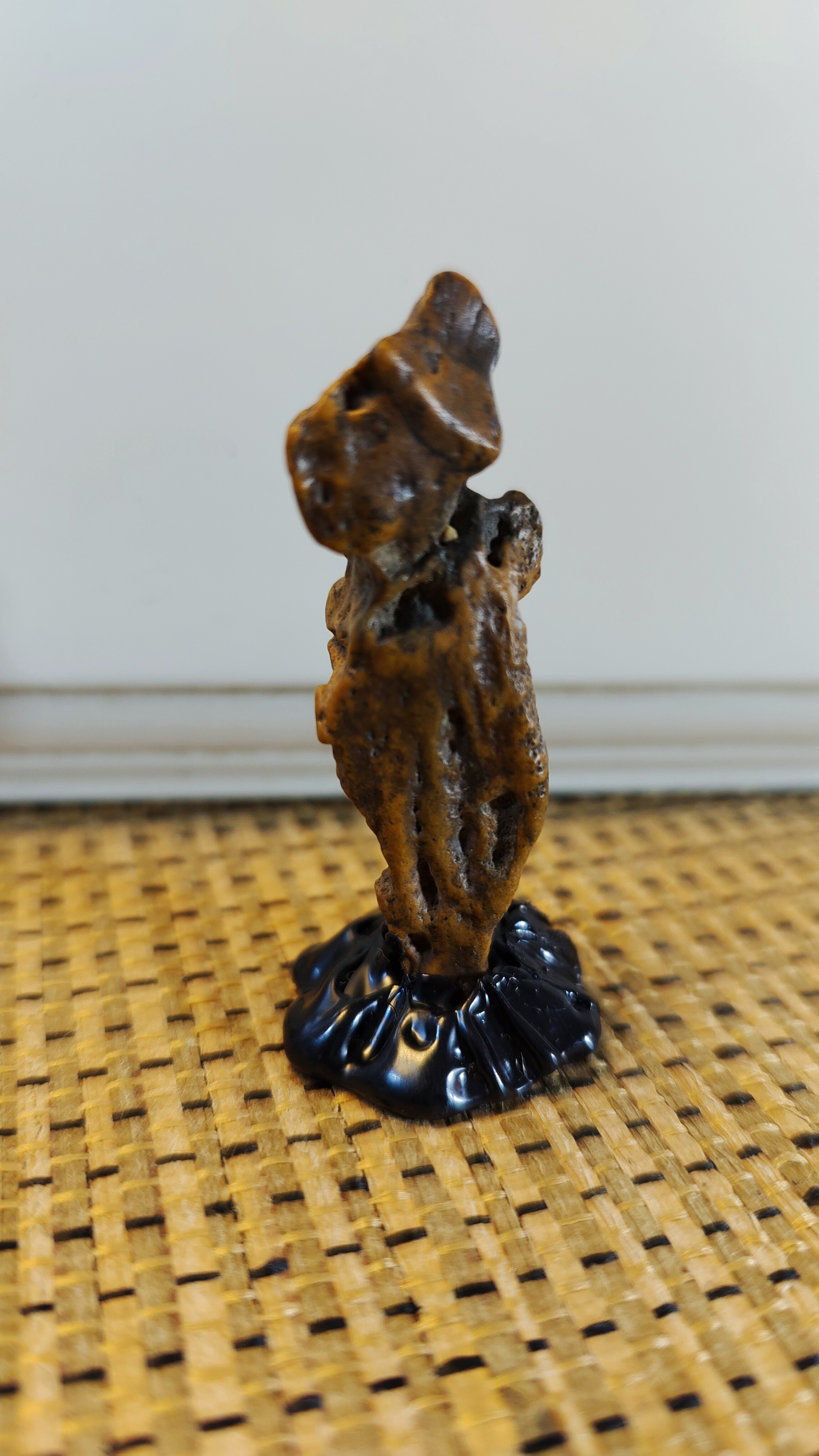 戈壁石：人物象形奇石