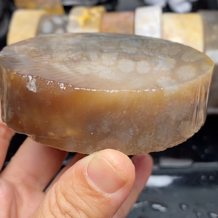 硅化珊瑚（珊瑚玉）手镯未镶嵌