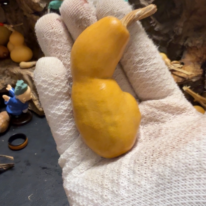 D***h66…………………………………………