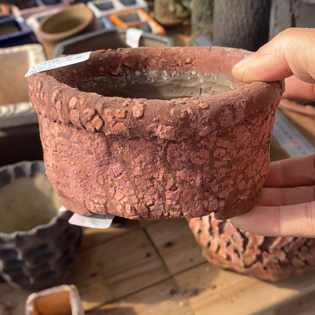 2哈多肉盆一个口径10