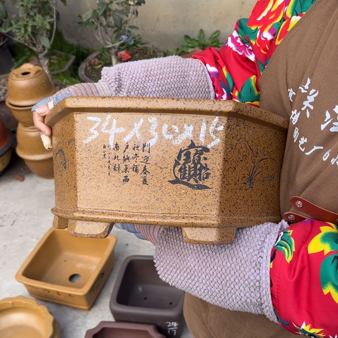 紫砂花盆盆景艺术