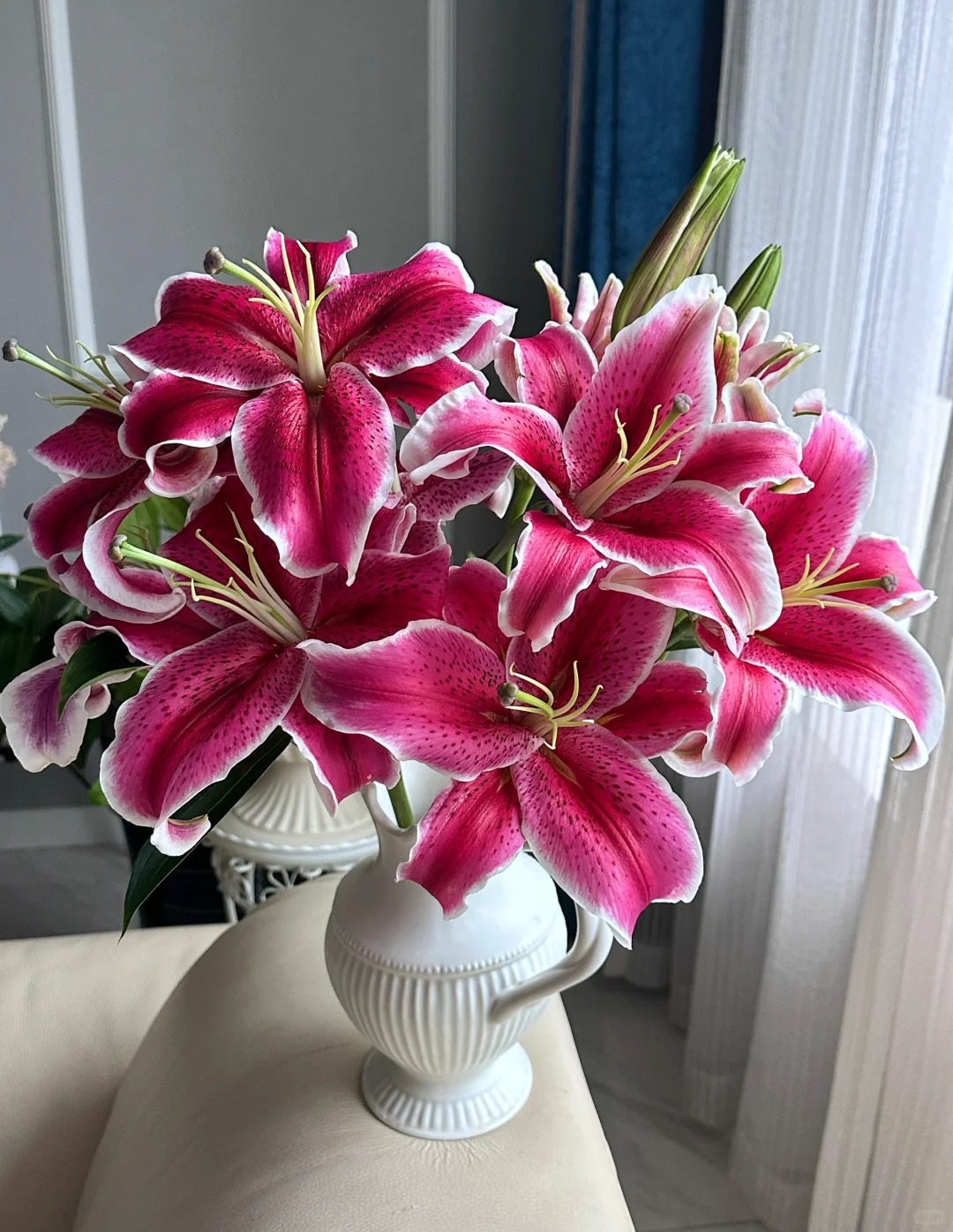 【花满堂】百合 黑美人卡瓦娜 云南鲜花一单包邮 发货后不支持退款