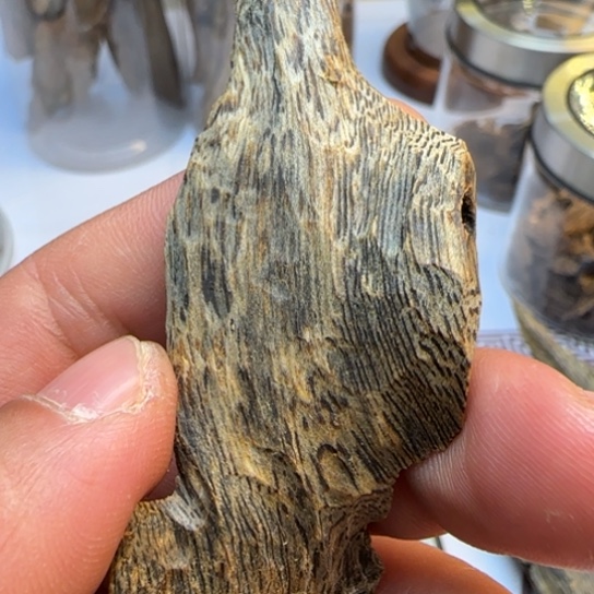 沉香摆件海南绿奇楠虫漏8.5克