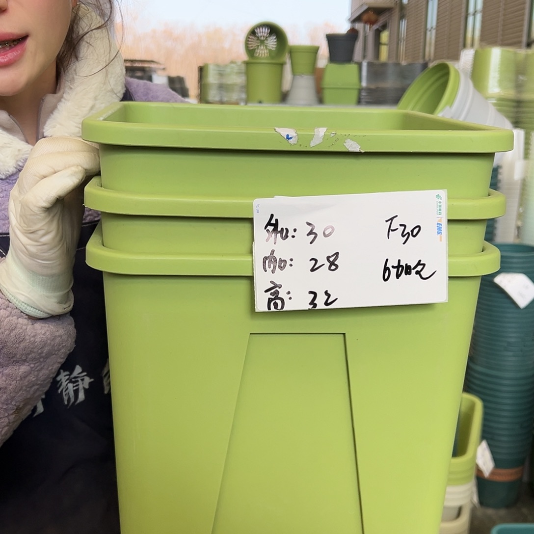 方盆F30果绿3个无托