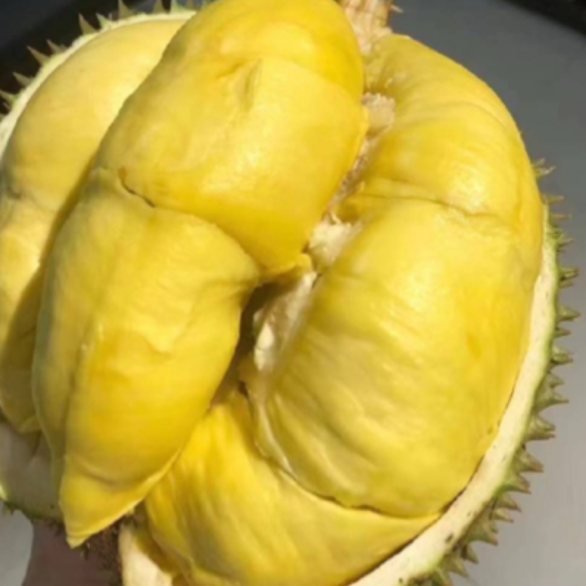 泰国金枕榴莲49.8一斤4