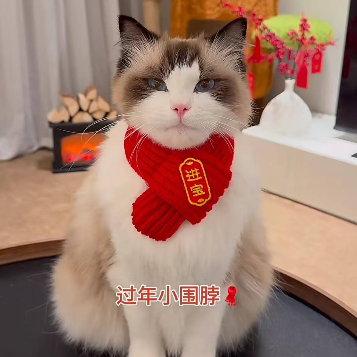 猫咪小狗围巾招财进宝平安喜乐可爱新年毛线宠物狗狗保暖红色围脖