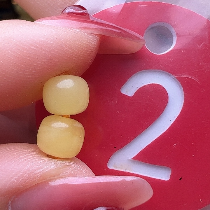 蜜蜡裸石未镶嵌6.1mm 老型