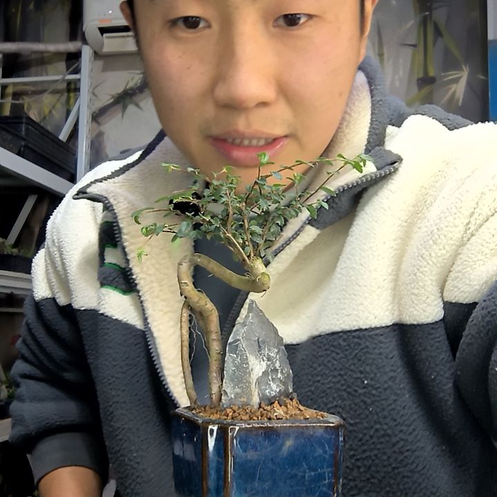 翔***宇中青园艺一物一拍花493