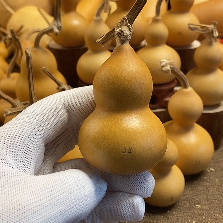 文玩葫芦 完美主义者 慎拍24