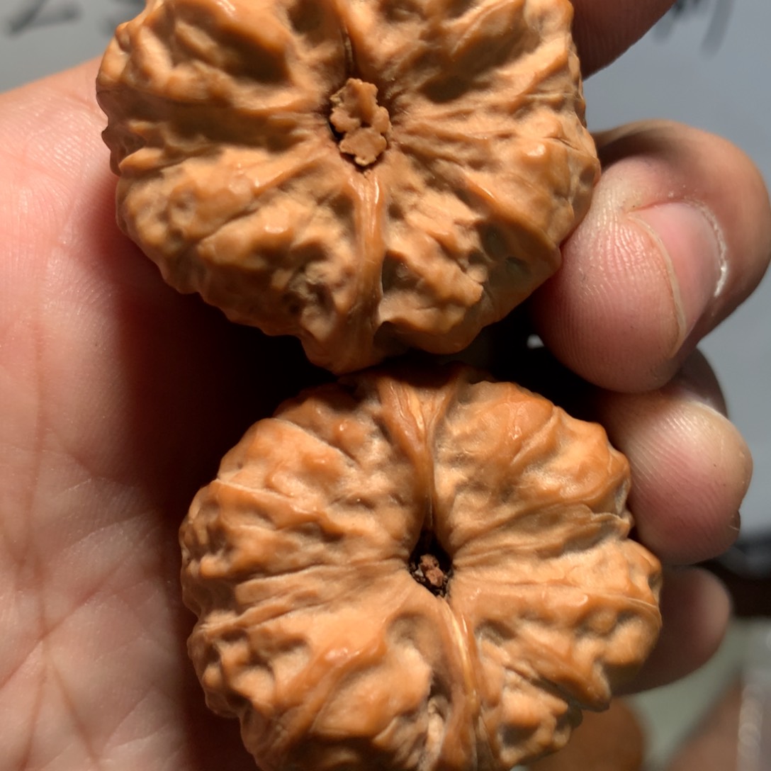 文玩核桃把件呆*呆鱼哥专拍蛤蟆