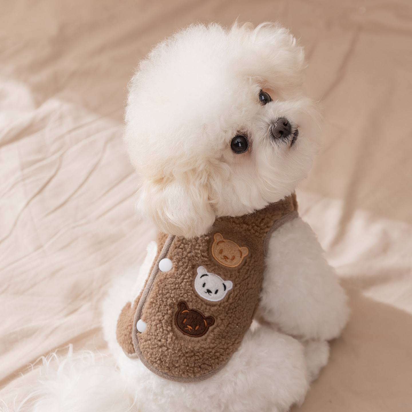 宠物秋冬季保暖狗狗小熊绣花服饰薄绒泰迪比熊小型犬开衫衣服6246