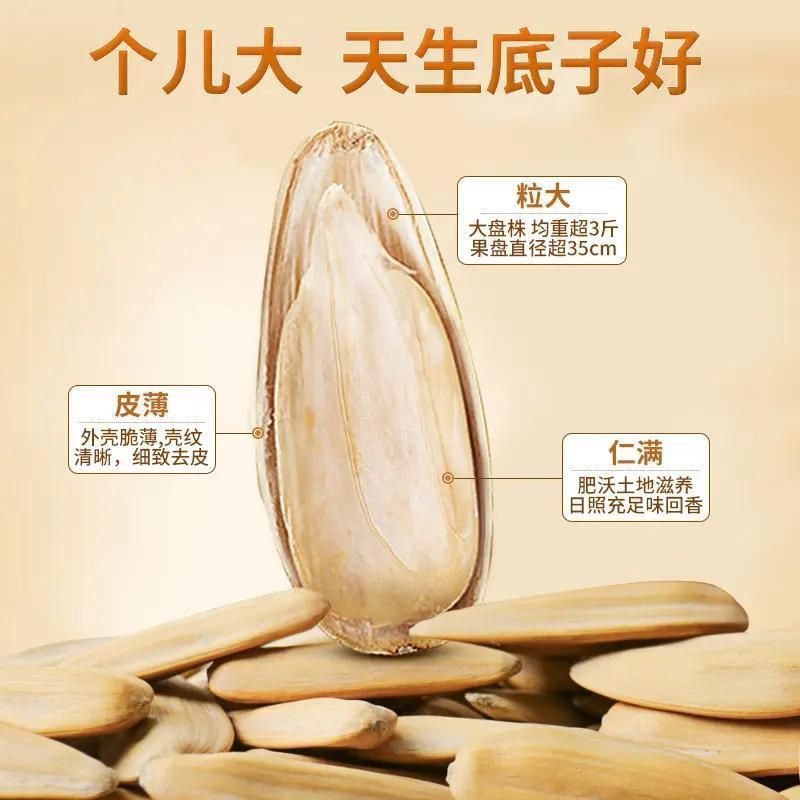 9.9元2×255g老街口打手瓜子盐味