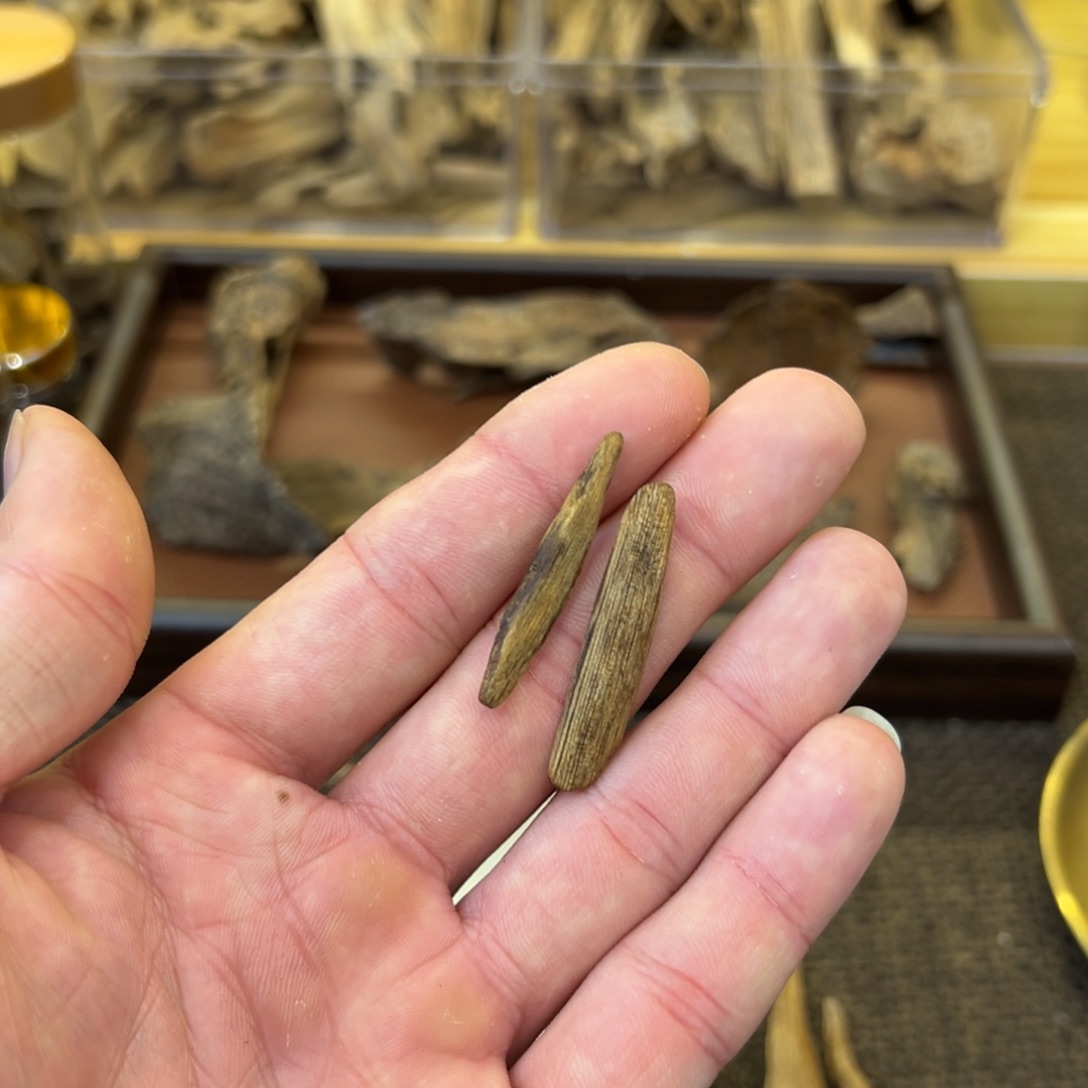 用***3天然马泥捞树心1.04g