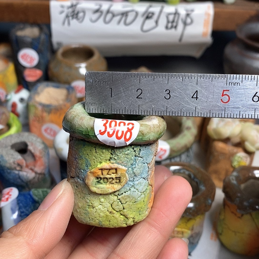 红陶拍5送一个小