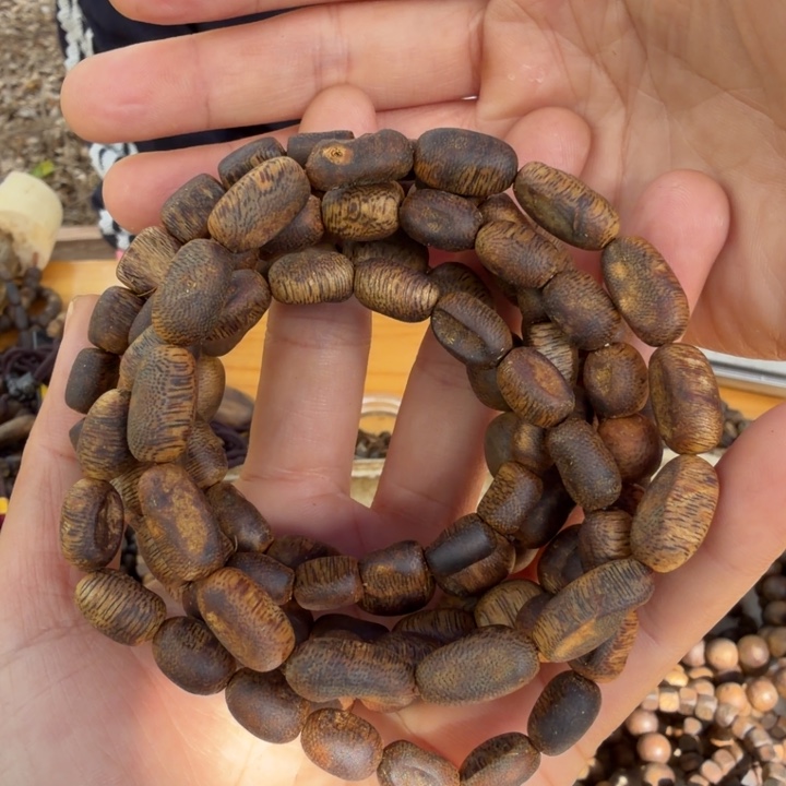 沉香沉香碎屑单圈白旗留疤多样性发一